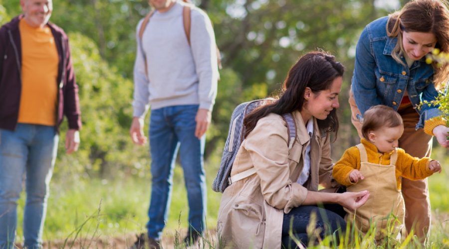 Family Activities for This Holiday Season in Hampshire